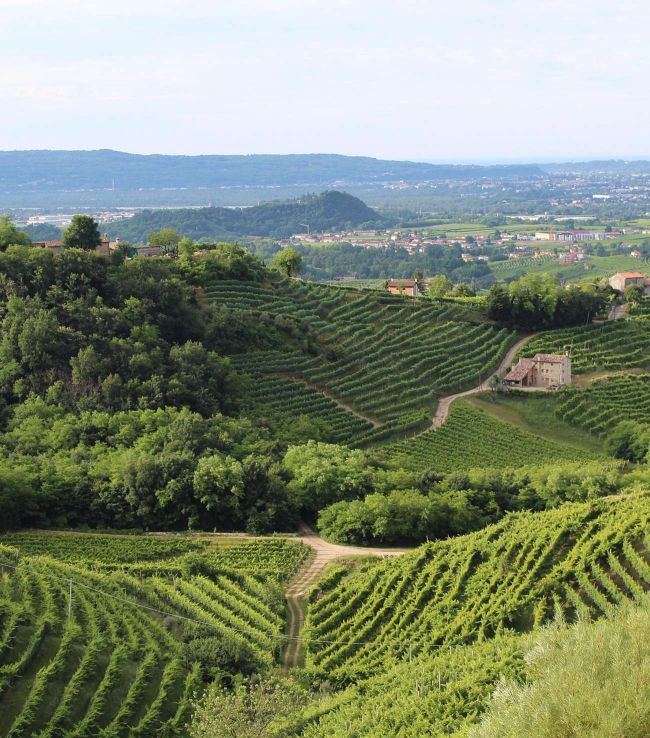 Tourist apartments NIDO - Surroundings - Veneto